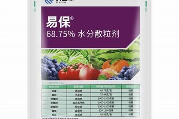 树叶如何发酵