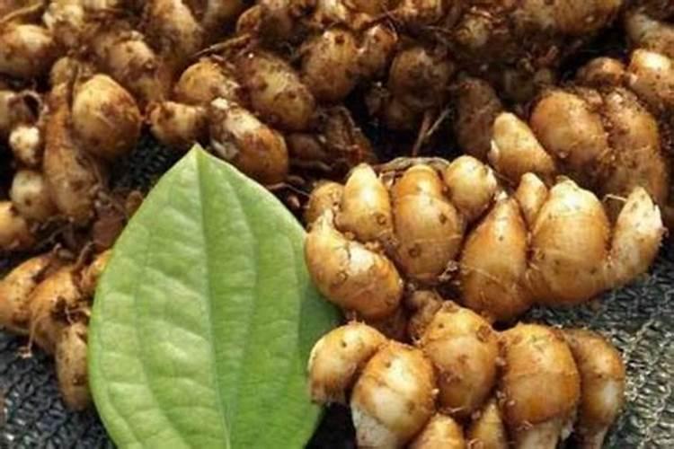 大豆饼、粕有何营养特点？
