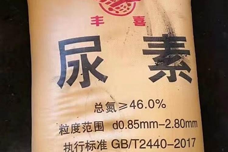水溶肥下雨天施肥好吗