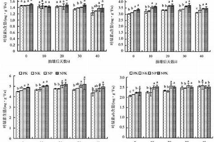 茶叶用什么化肥好