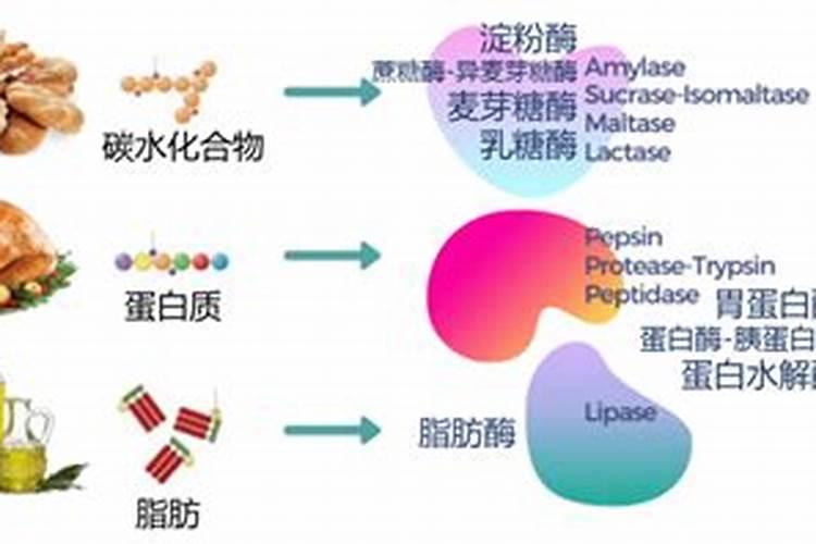 美国菜价为什么贵