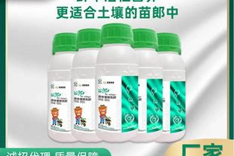 芹菜最喜欢什么肥料