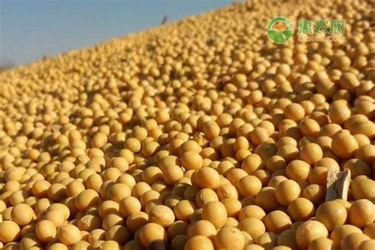 种植牧草用什么肥料好