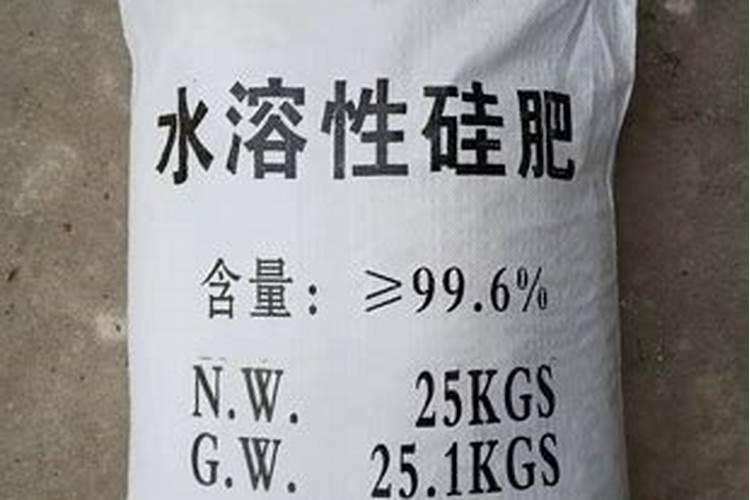 2025年5月1日化肥检验出口政策