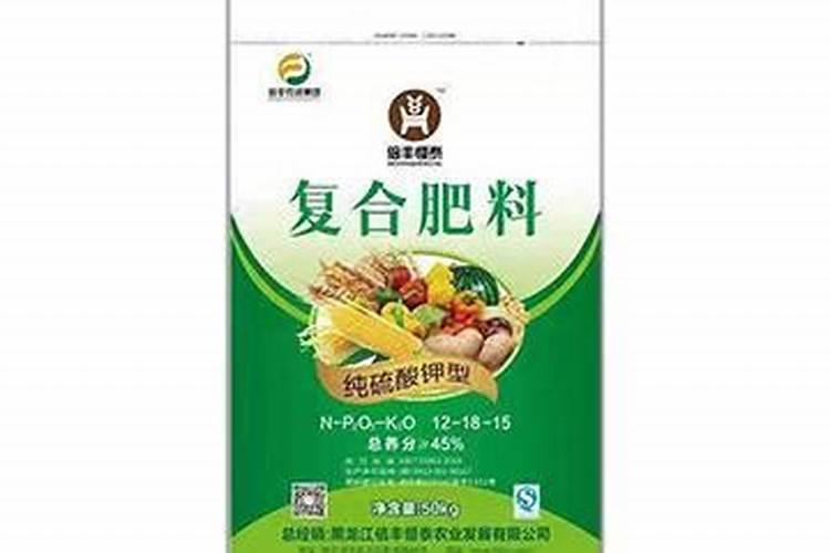 养花叶面 每天多少次喷水、天天给文竹喷水好吗