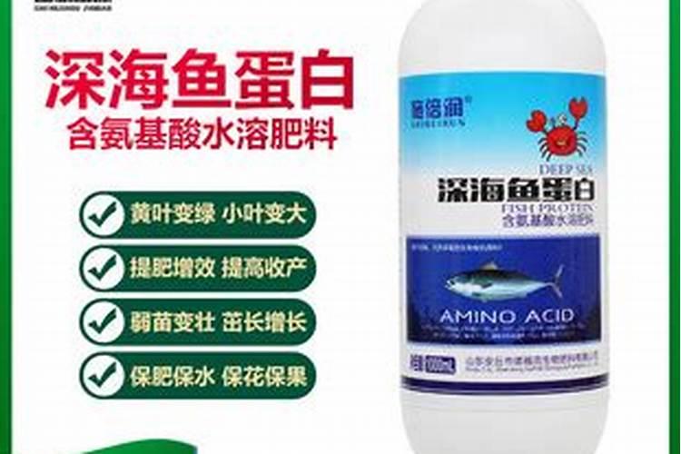 杨梅树施什么肥最好