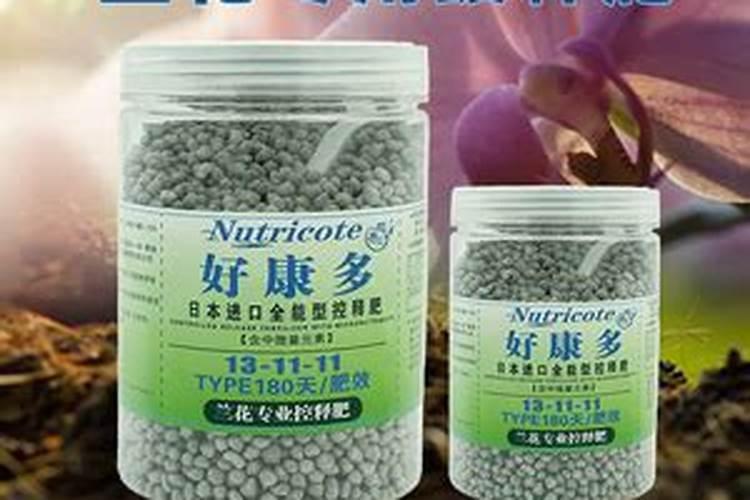 文心兰一年开几次花花期过后怎么处理？