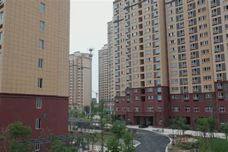 主要肥料与施肥技巧目录