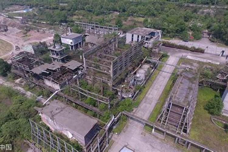 四川雅苒农业科技有限公司怎么样？