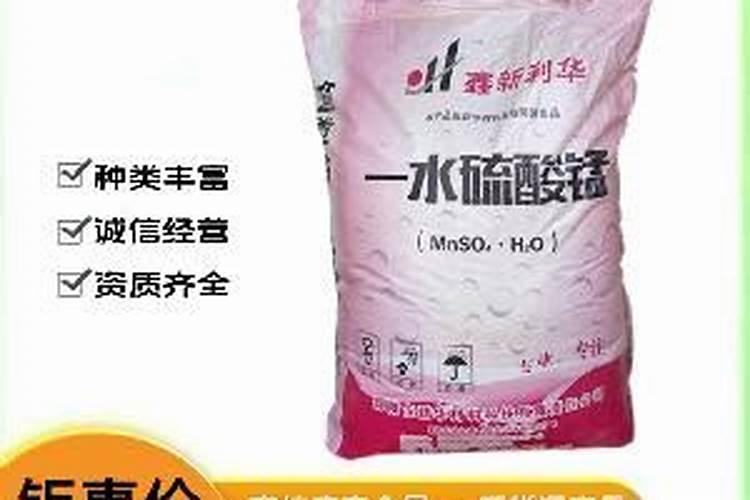 桉树多久长大