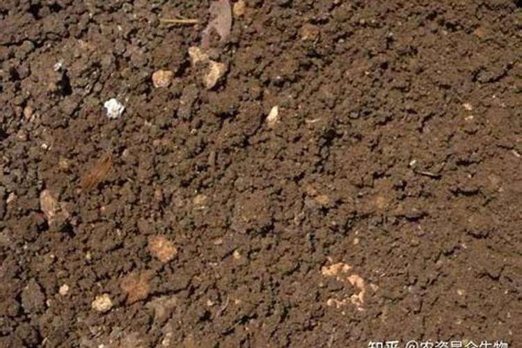 花果控释肥的正确使用方法