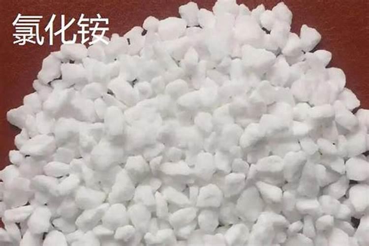 养花用什么肥料好？该怎么样选择？