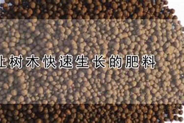农业生产中铵态氮肥为什么不可与碱性物质混用