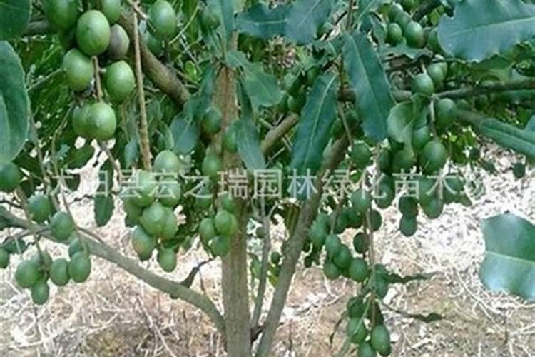 引力到底是种什么性质的能量？