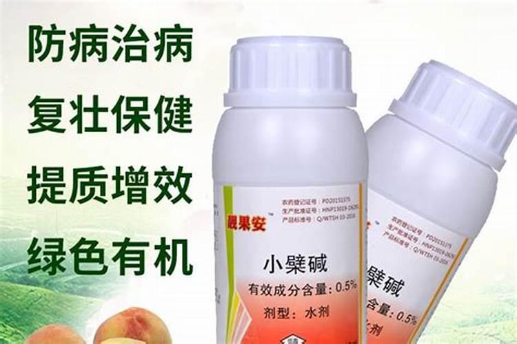 落叶直接埋土里能做肥料吗 树叶埋在地里可以做肥料吗