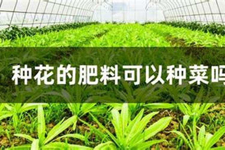 腐植酸钾使用方法