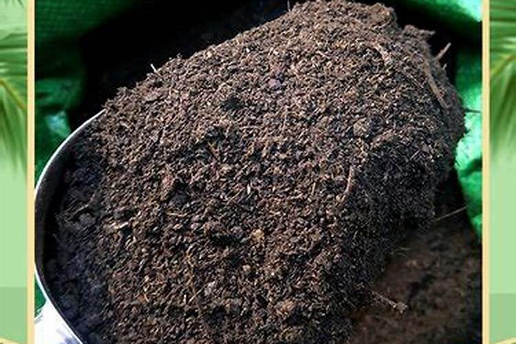 农业种植需要的微生物肥料哪种好？
