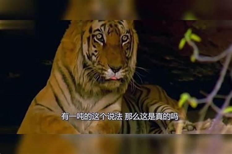 920如何与叶面肥搭配