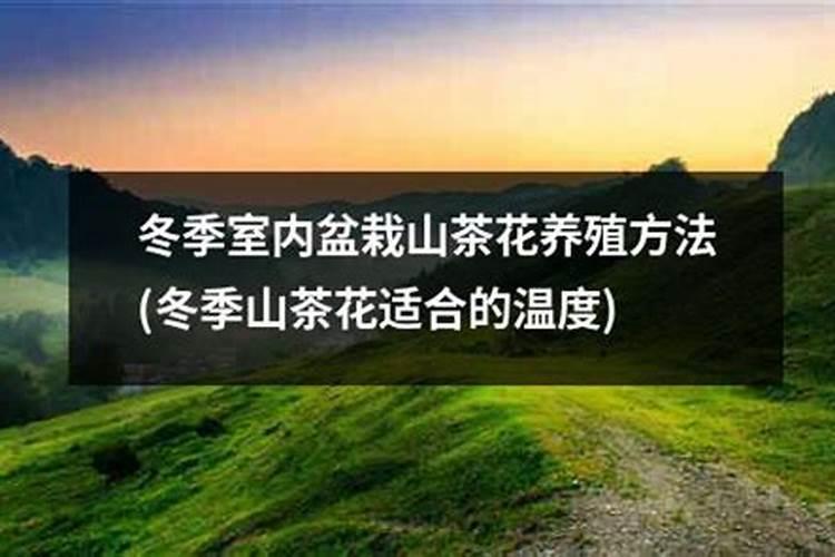养花施什么肥料、肥料怎么施肥效果好