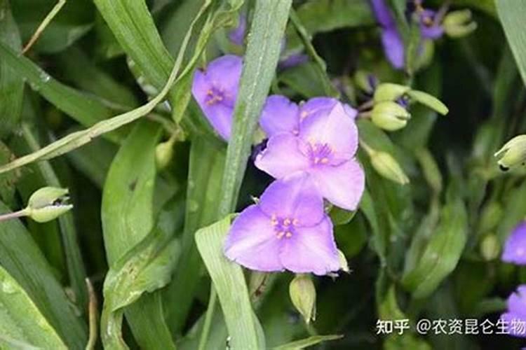 磷灰石加工方法