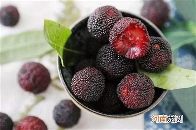 杨梅高产需要掌握哪些技巧 杨梅怎么种植