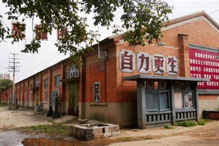 紫藤苗多少钱一棵？紫藤哪个品种最好看？