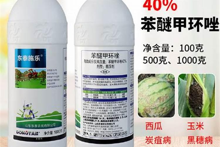 养花家中用到的农药养花常用哪些农药