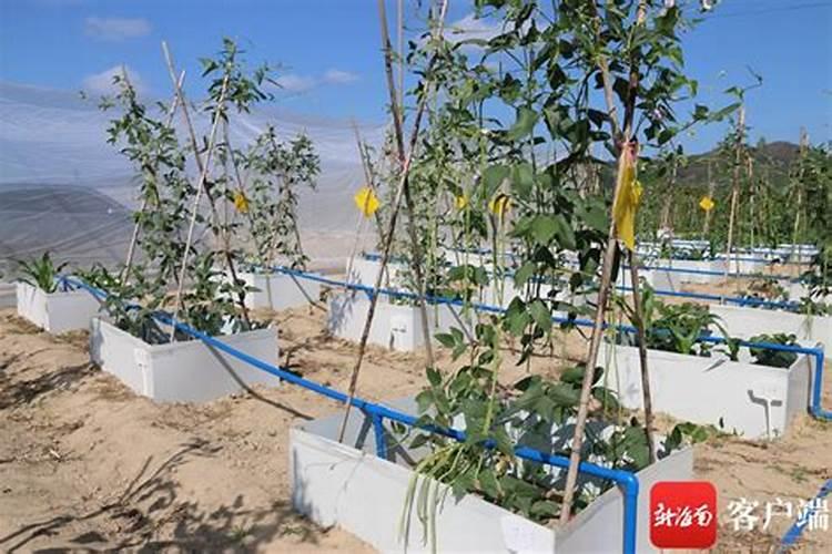 硝酸钾和磷酸二氢铵都是复合肥料吗 复合肥的用途