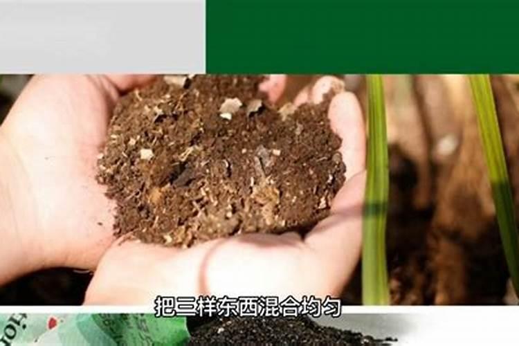 植物缺钾怎么补充。除了买钾肥,还能用什么办法解决？