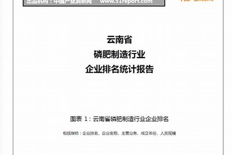 磷化肥十大龙头