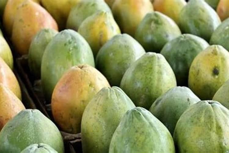 木瓜已经结果实了,用什么肥料好？