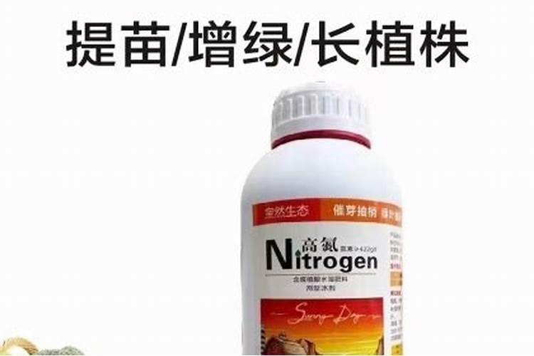 栀子花用什么肥最好