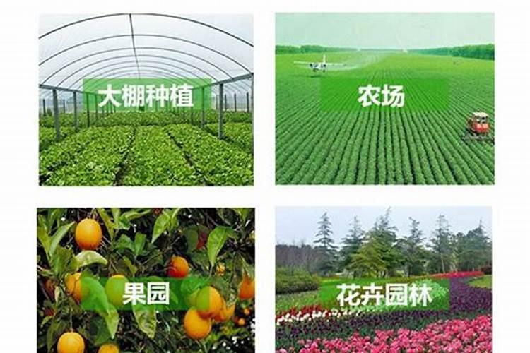 水芒硝与无水芒硝的区别