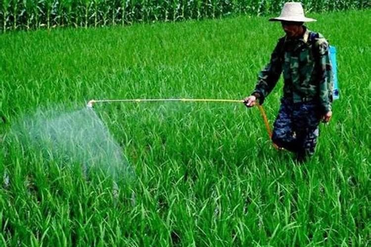 目前化肥价格多少钱一吨？为何都涨疯了？2022年5月化肥价格行情