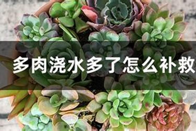 化肥抽检多少起抽