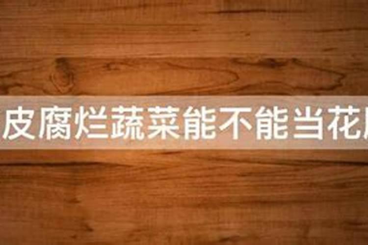 种西红柿用什么肥料最好