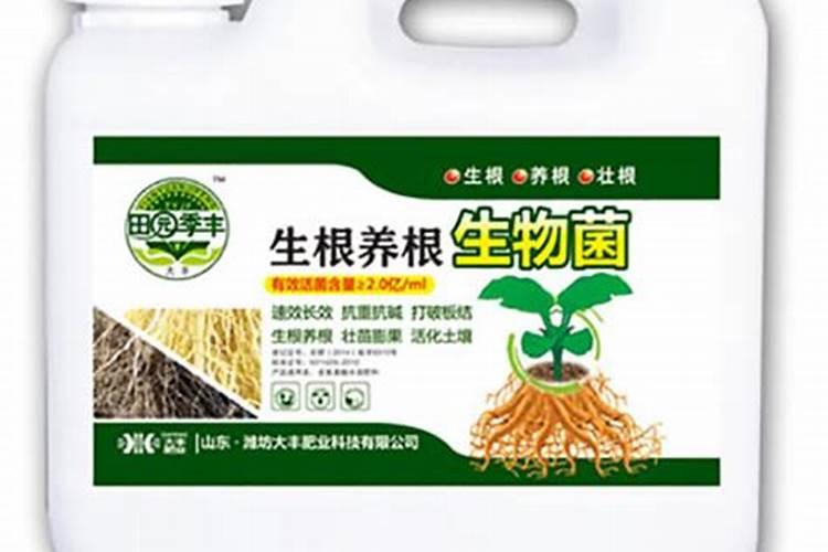 新秀瓠子栽培技术要点
