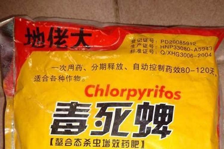 夏季茄子巧妙追肥,管理要点有哪些？