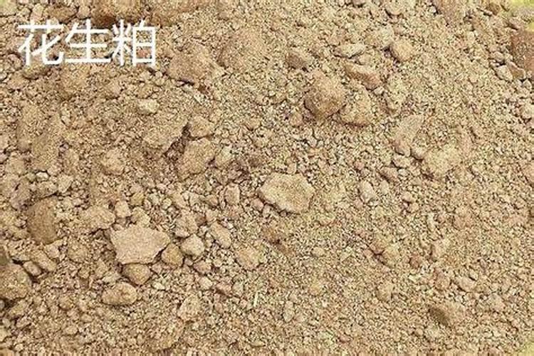 氮肥施用有哪些禁忌