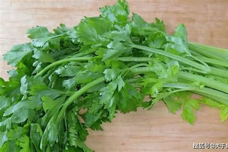 芹菜能不能用氯化钾肥料 怎么施肥效果好