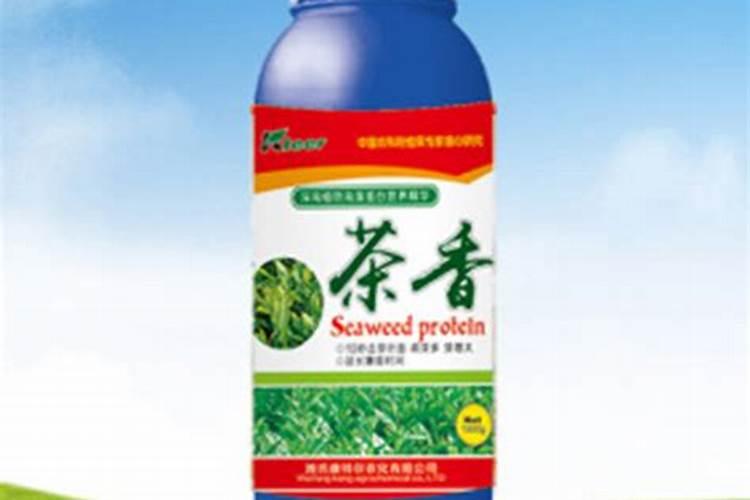 绣球花施肥时间和方法