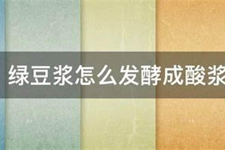 绿豆浆怎么发酵成酸浆