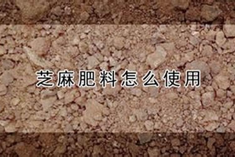 如何杀死果蝇卵及幼虫