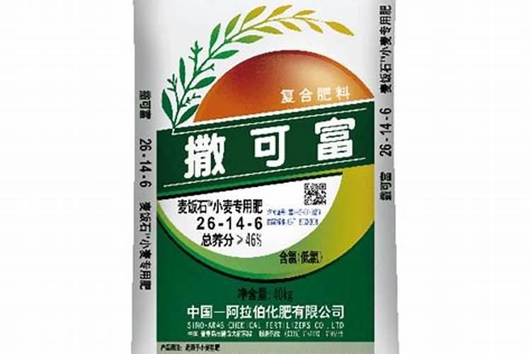 芝麻渣泡水多久可以浇花