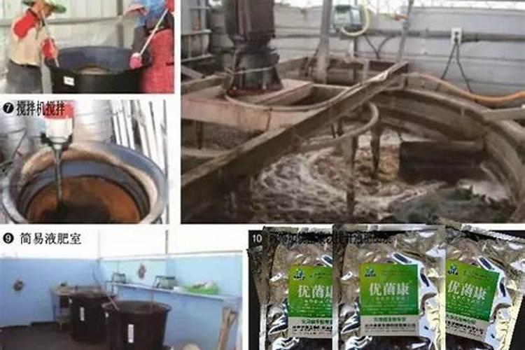 聚谷氨酸型和矿源黄腐酸钾型肥料哪种好