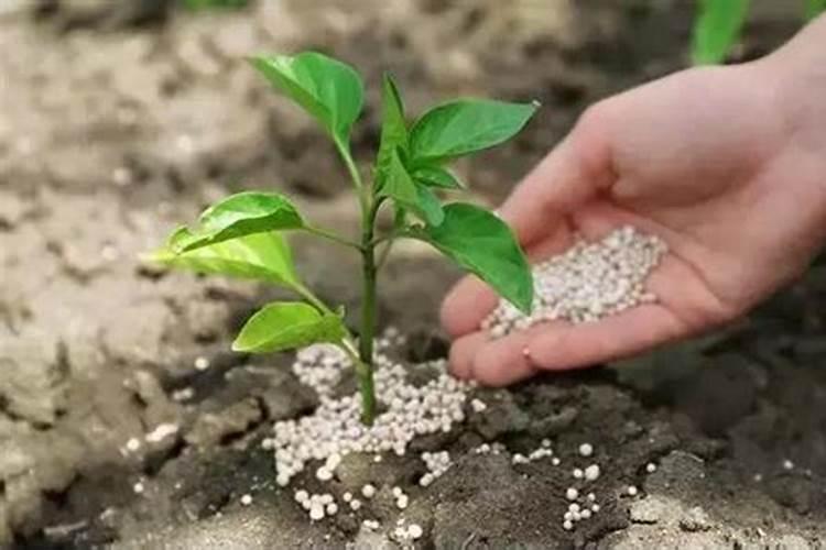 复合肥氮磷钾比例是质量比例吗