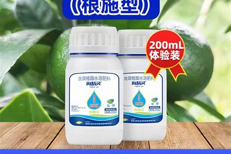 种小麦用什么肥料好