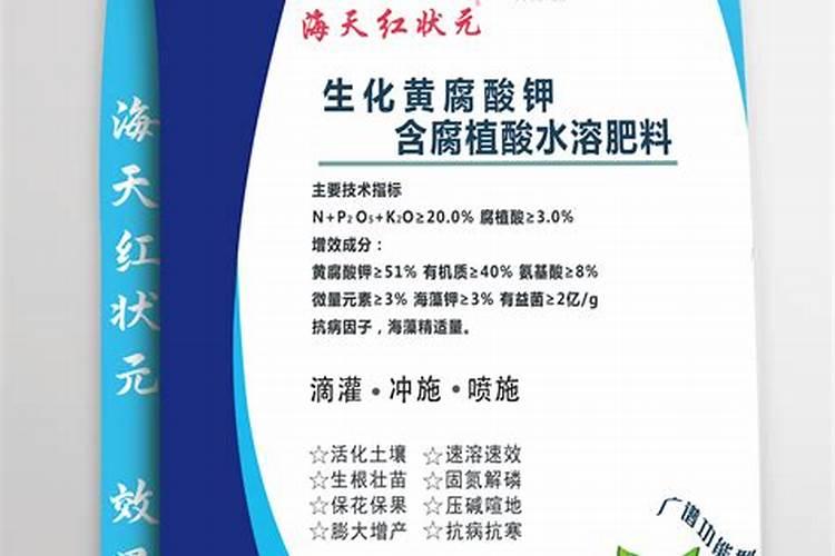 左面水稻秧苗,喷完黄腐酸钾叶面肥,5天,根系很好,根白,根多,但是也打绺...