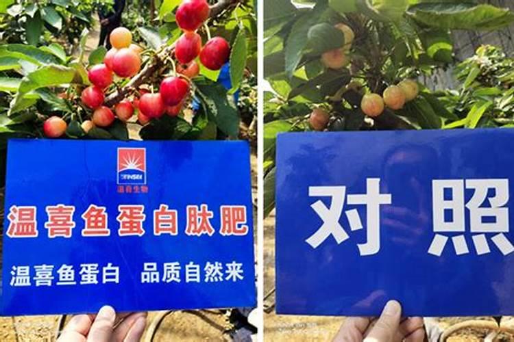 中国十大名牌复合肥