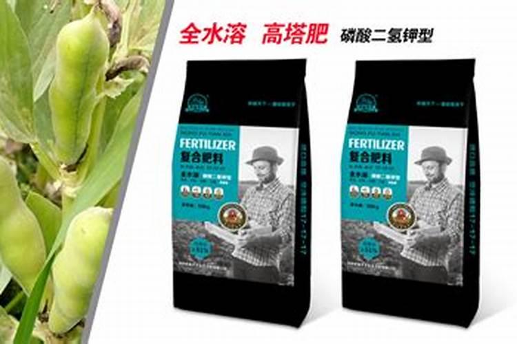 油柑什么时候施肥最好？